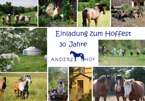anklicken zum vergrößern